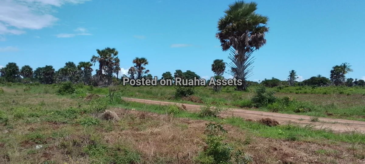 Plot near beach Puna beach image 1