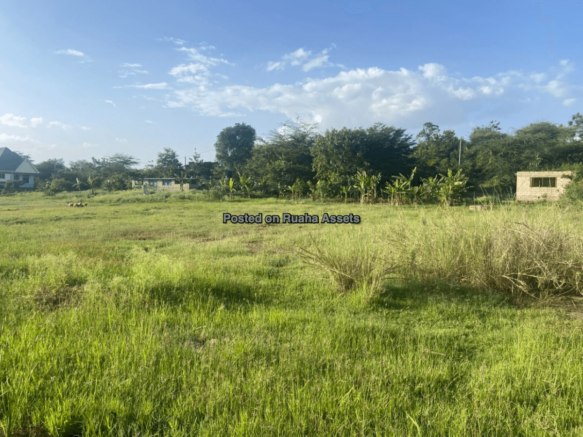 Shamba la Heka mbili, Nelson Mandela University Arusha image 10