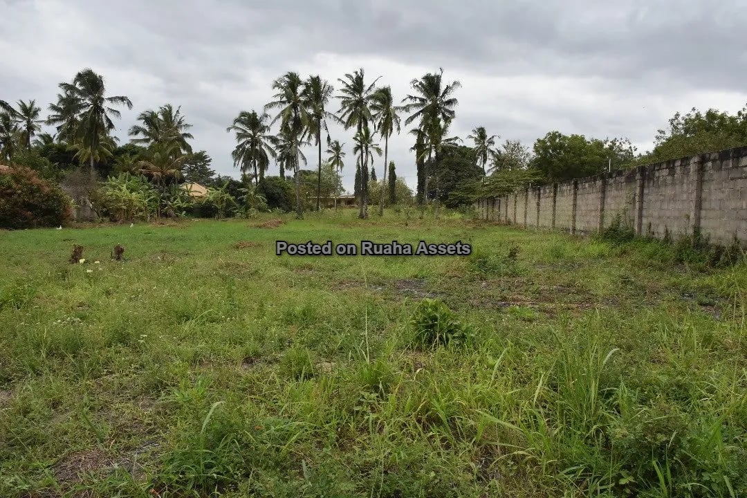 Kiwanja Kikubwa Kinauzwa Mabwepande image 11
