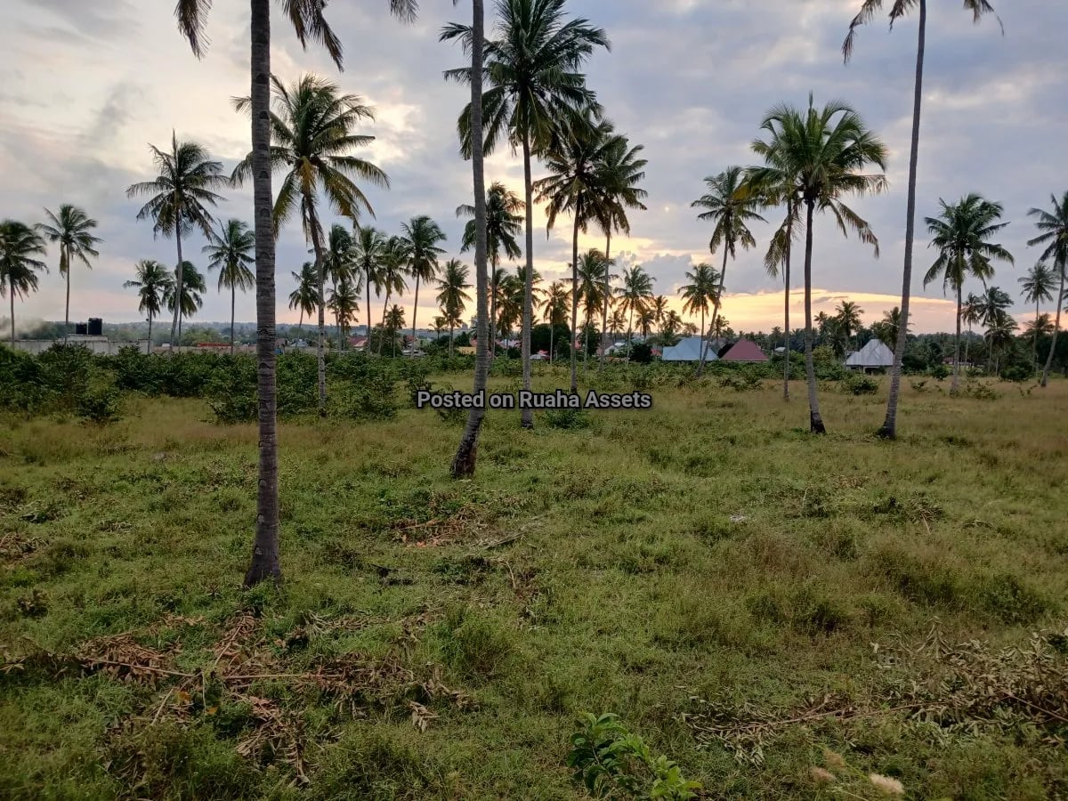 Industrial Plot for Sale at Mkuranga image 5