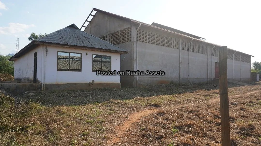 Shamba Kubwa Lenye Majengo ya Ufugaji Linauzwa image 1