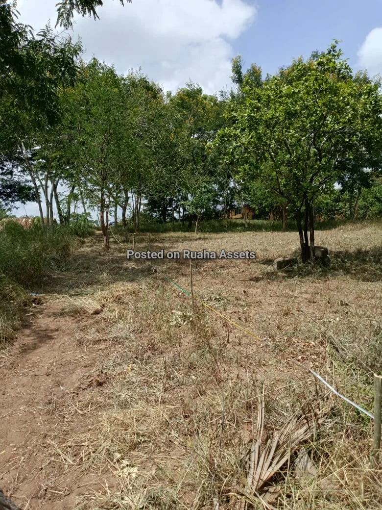 Cornerplot for Sale at Kimara Suka image 5