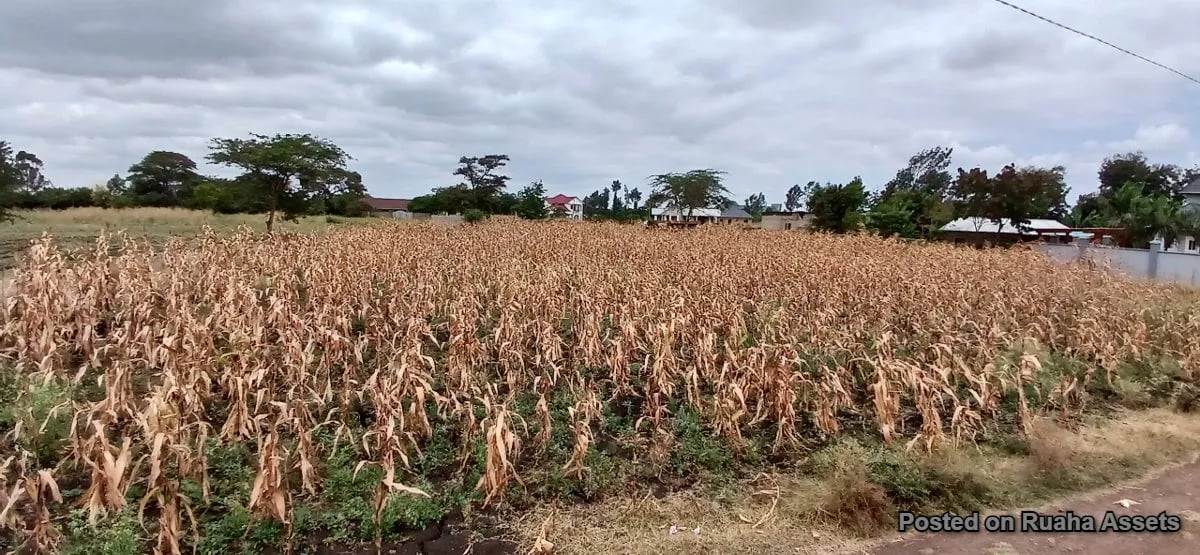 Half acre plot for sale at Njiro, Arusha. image 3