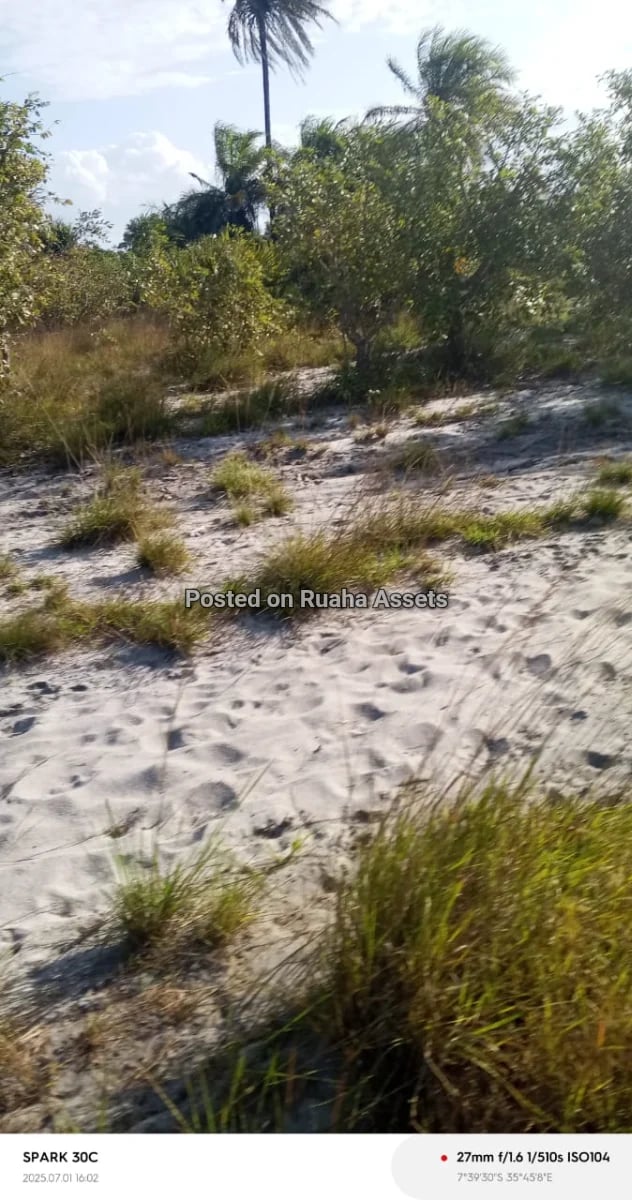 Shamba heka 120 linauzwa Kimbili Mkuranga image 2