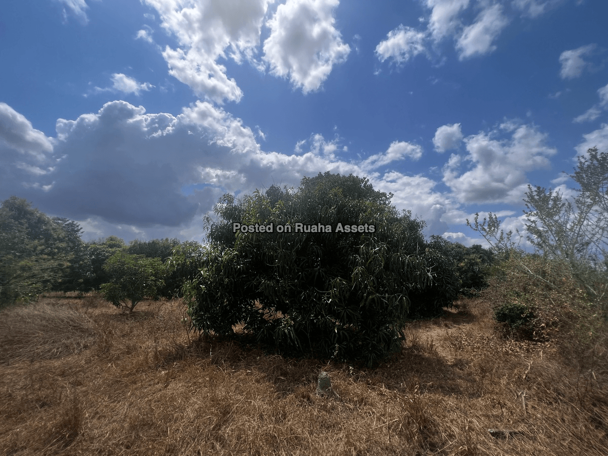5 Acres farm for Sale, Kidomole Village Bagamoyo image 1