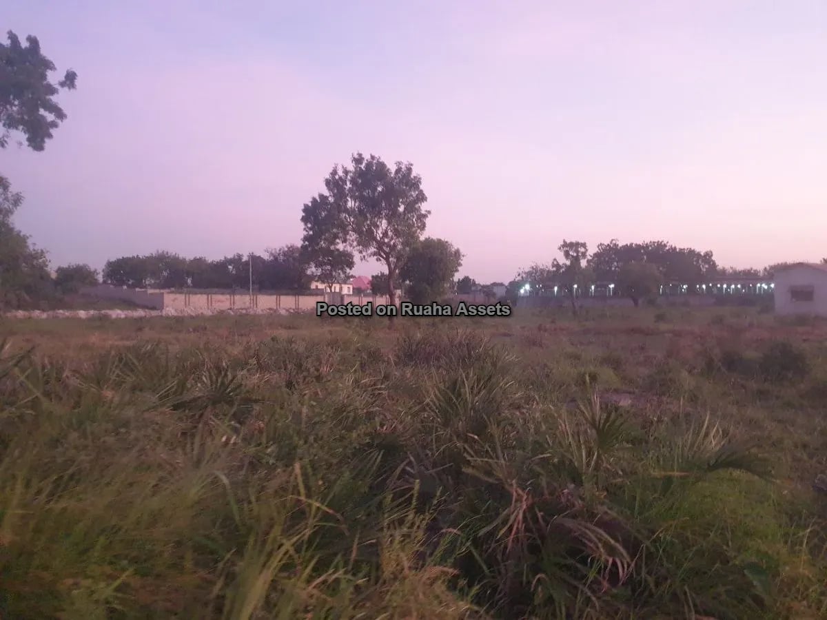 A Very Big Plot for Sale image 2