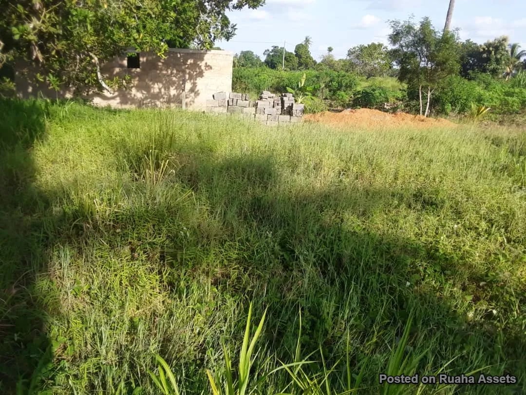 1 acre for sale, Mataya - Bagamoyo image 10
