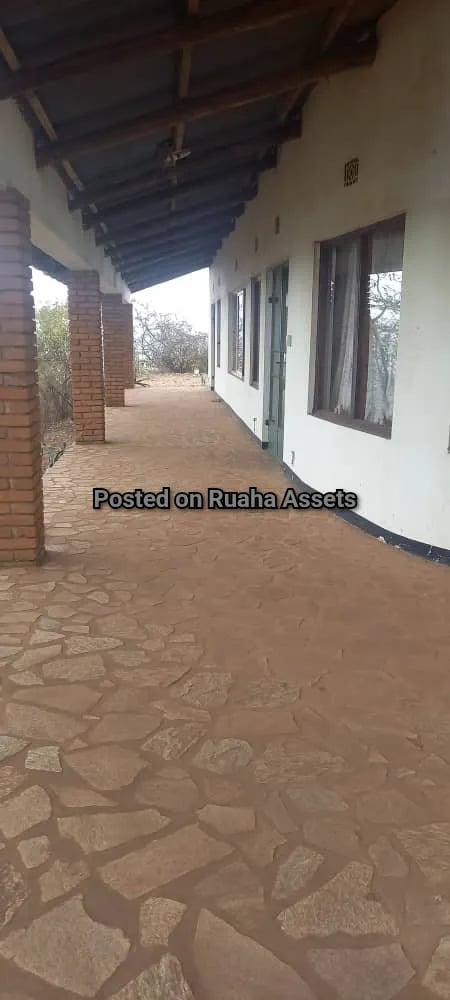 Big Plot with a House for Sale Njiro Arusha image 21