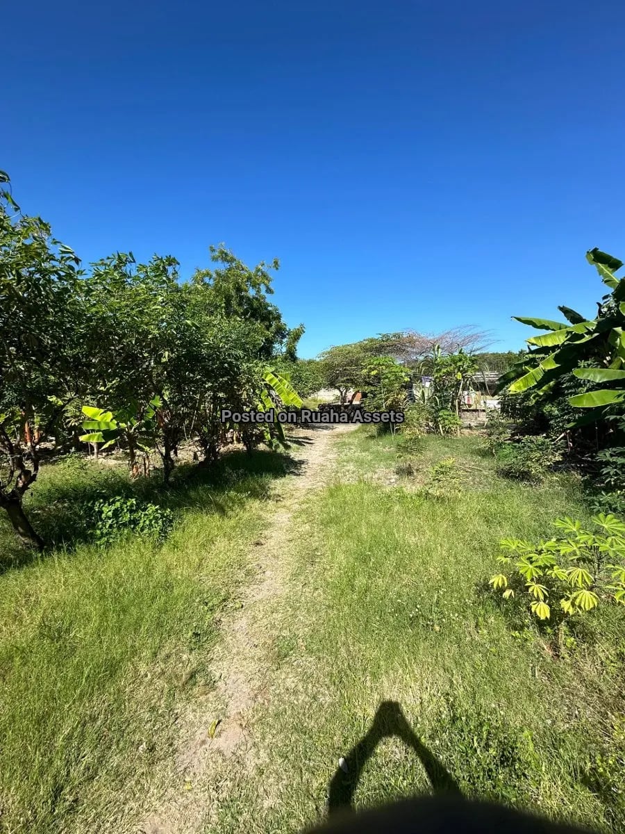 Prime Plot for Sale at Mbezi Beach image 2