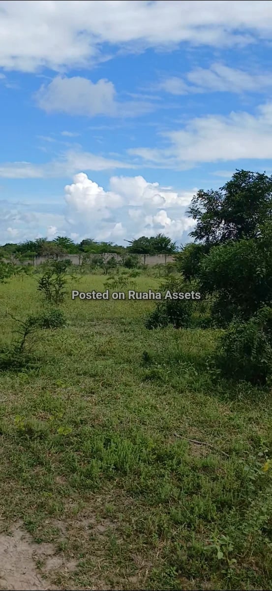 Prime Industrial Plot for Sale at Chamakweza image 8