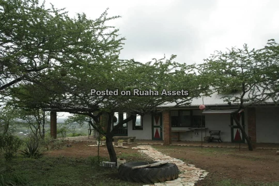 Commercial Property with Company Title Deed for sale in Arusha image 4