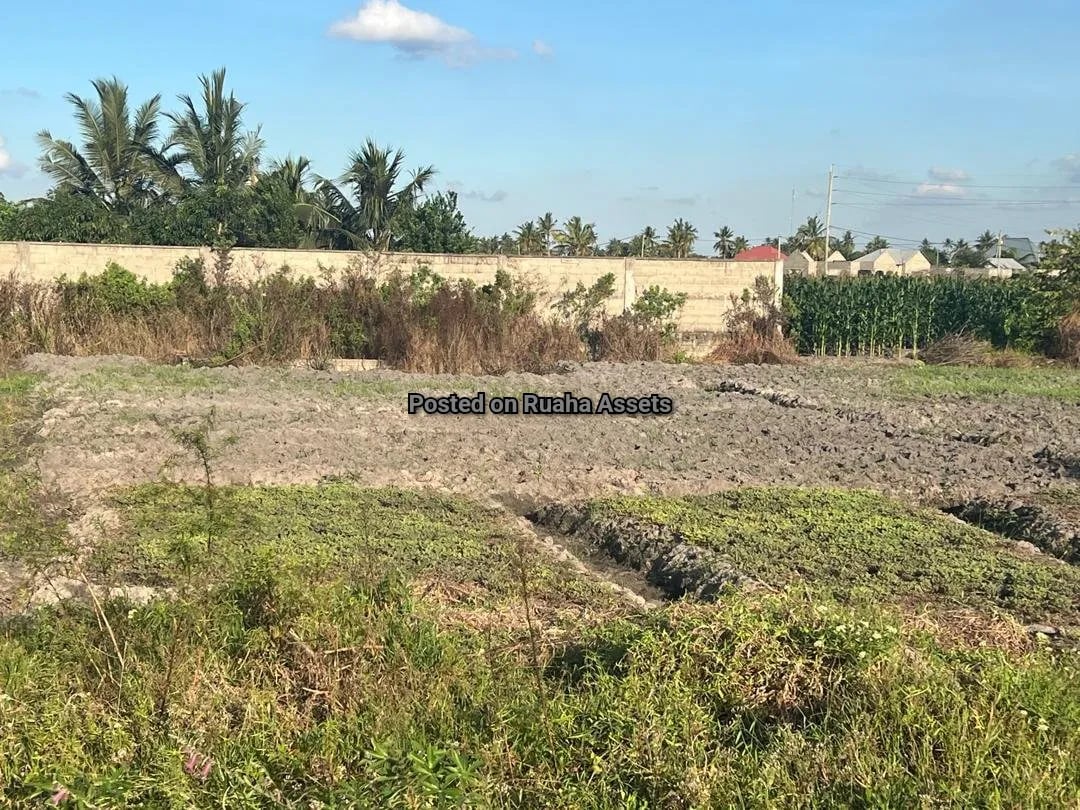 Eneo linauzwa Chanika image 3