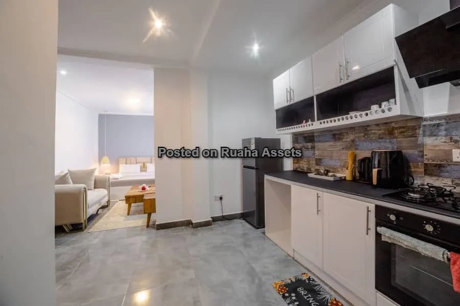 Fully Furnished 1 Bedroom Apartment for Lease at Kinondoni image 6