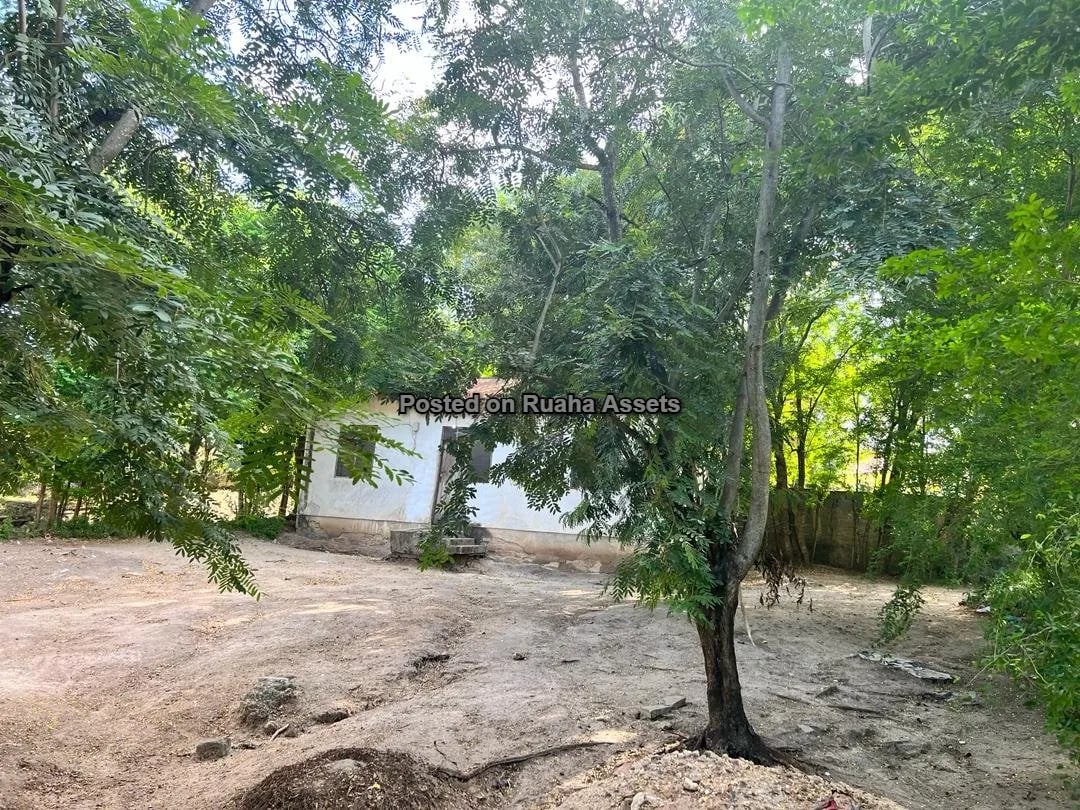 Prime Corner Plot on Sale at Mbezi Jogoo image 5