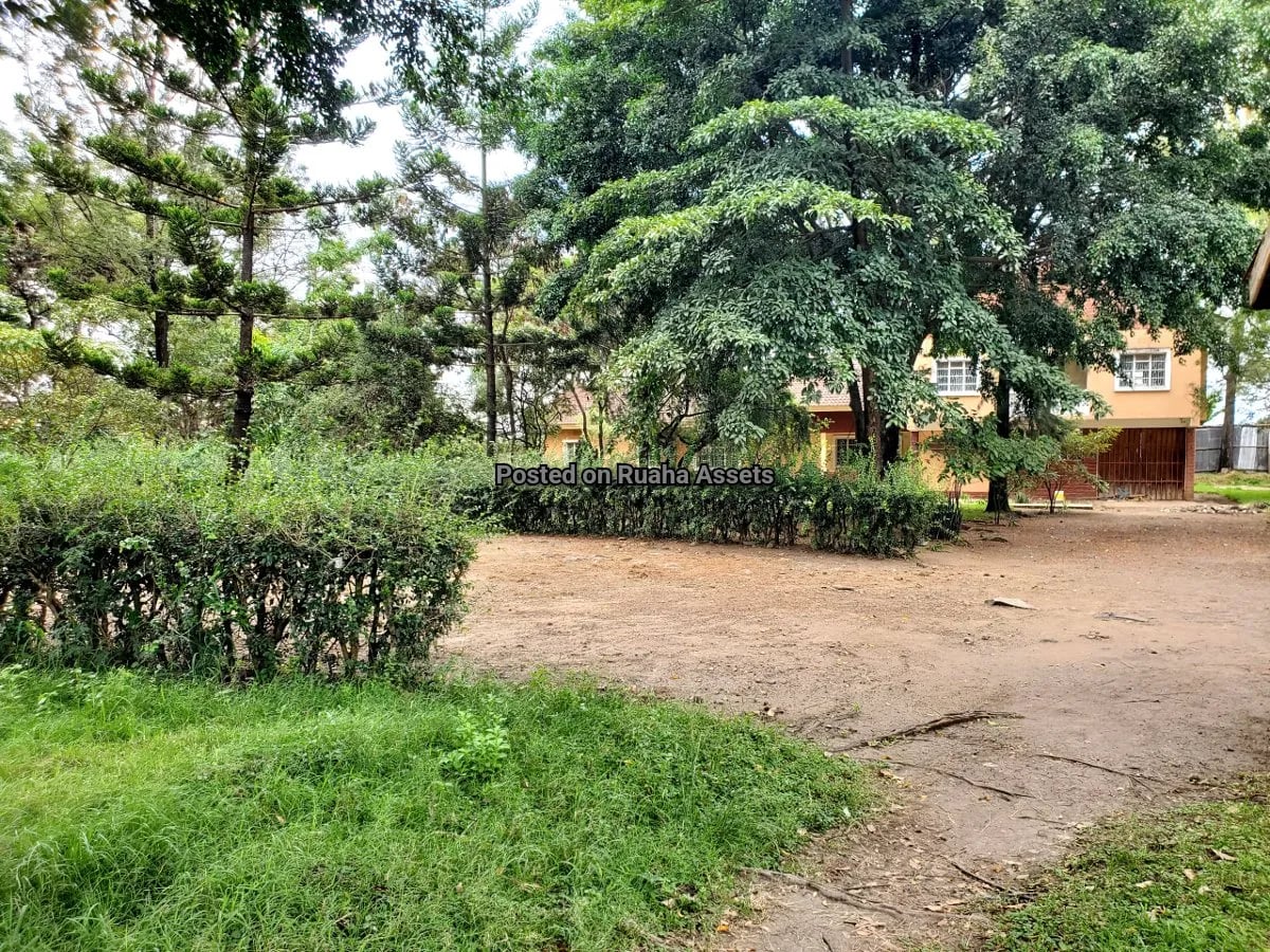 Flat on 1 acre plot for Sale at Majengo, Arusha image 4