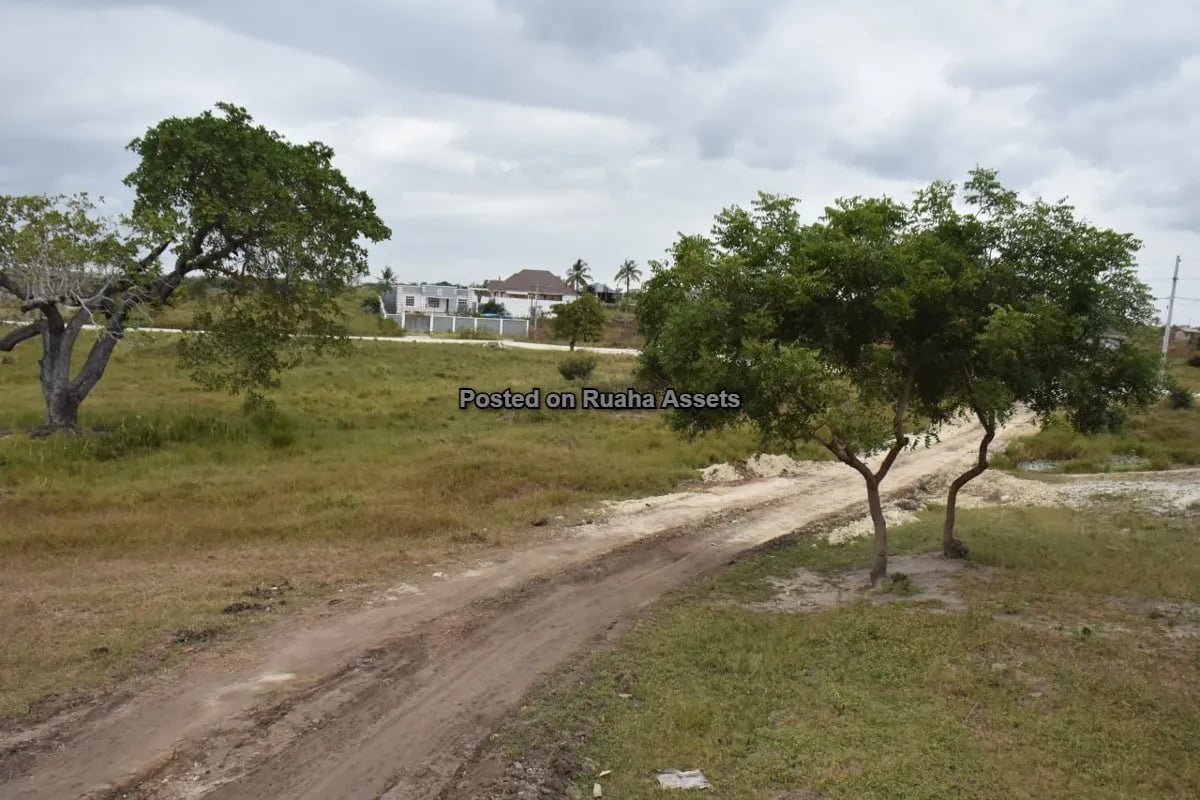 Viwanja Vikubwa Vinauzwa Mabwepande image 6