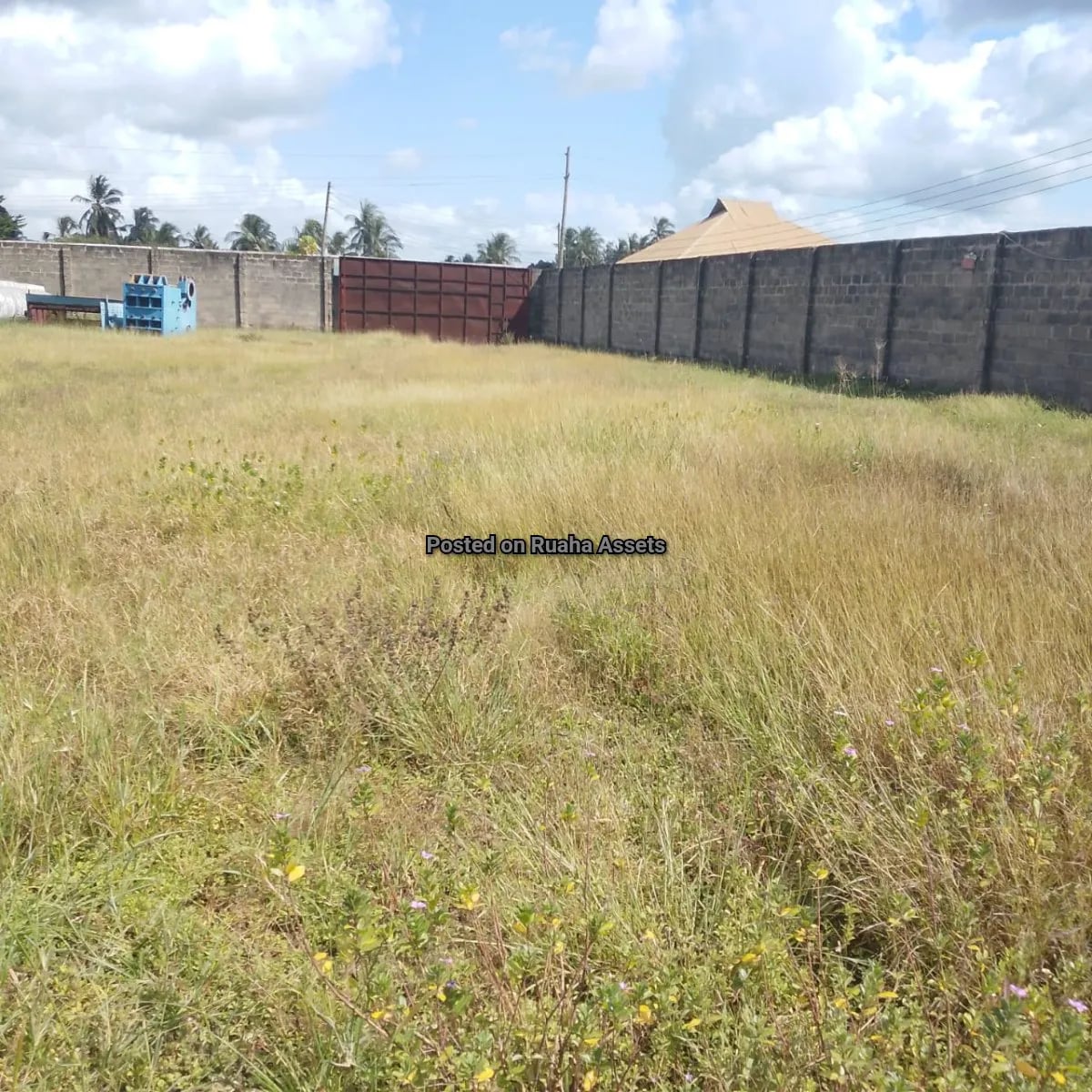 Warehouse for lease at Misugusugu image 4