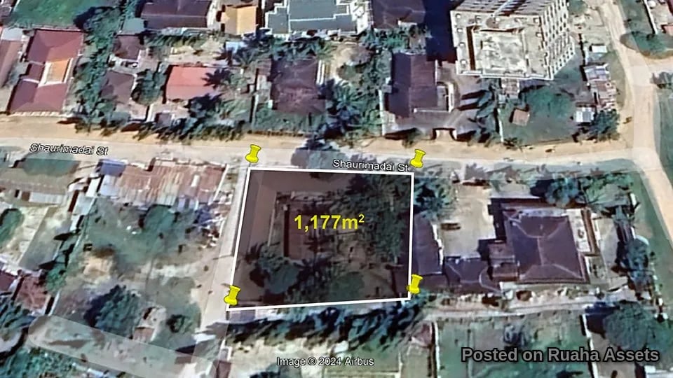 Prime plot Mbezi Beach: Investment Ready - Rent, Build, Sell! image 7
