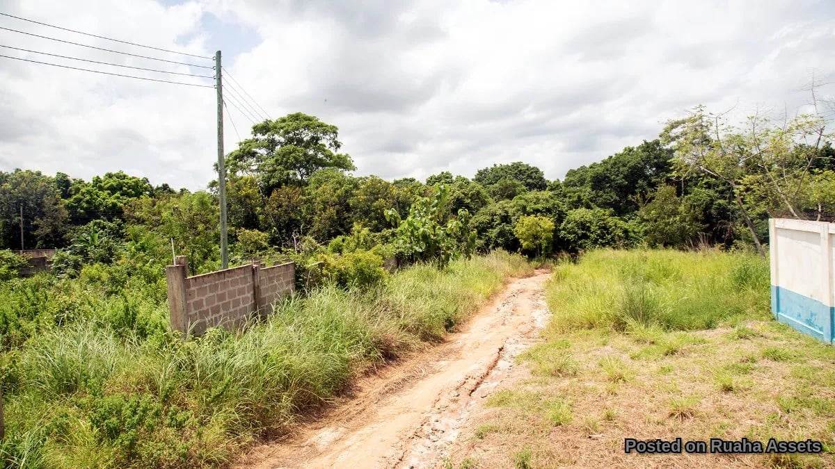 Fenced Plot for Sale at Mabwepande image 4