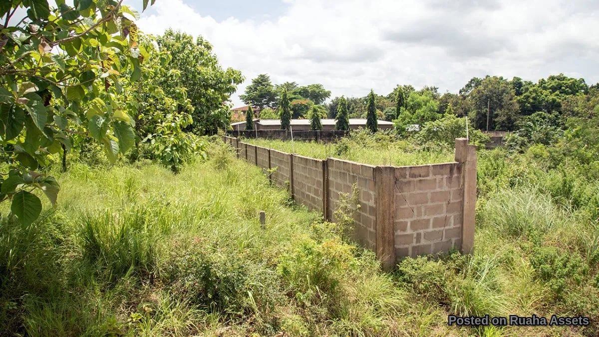 Fenced Plot for Sale at Mabwepande image 3