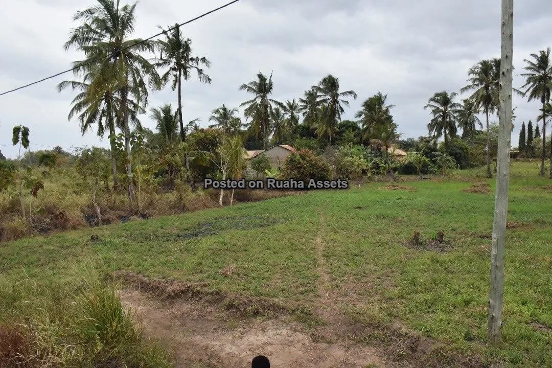 Kiwanja Kikubwa Kinauzwa Mabwepande image 4