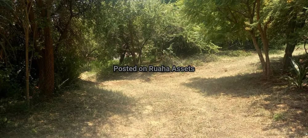 Big Plot with a House for Sale Njiro Arusha image 10