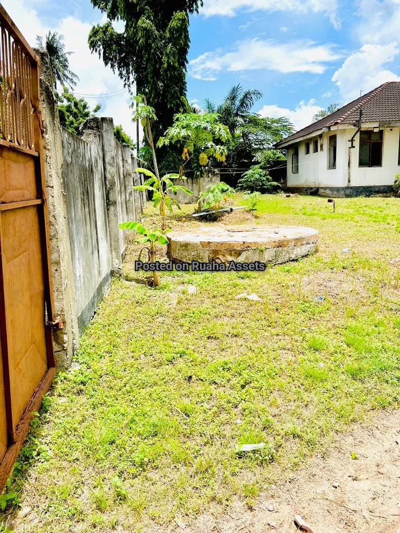 Eneo la Heka moja linauzwa Tabata Bima image 7