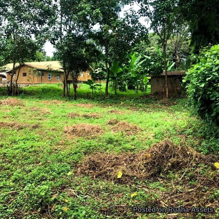 PRIME SHANTY TOWN FARM LAND FOR SALE image 6