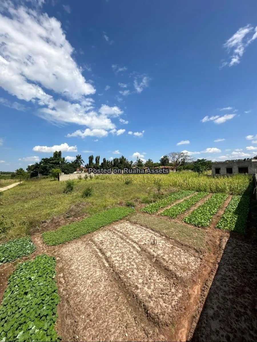 Plot for Sale at Sala Sala, Dar es Salaam image 2