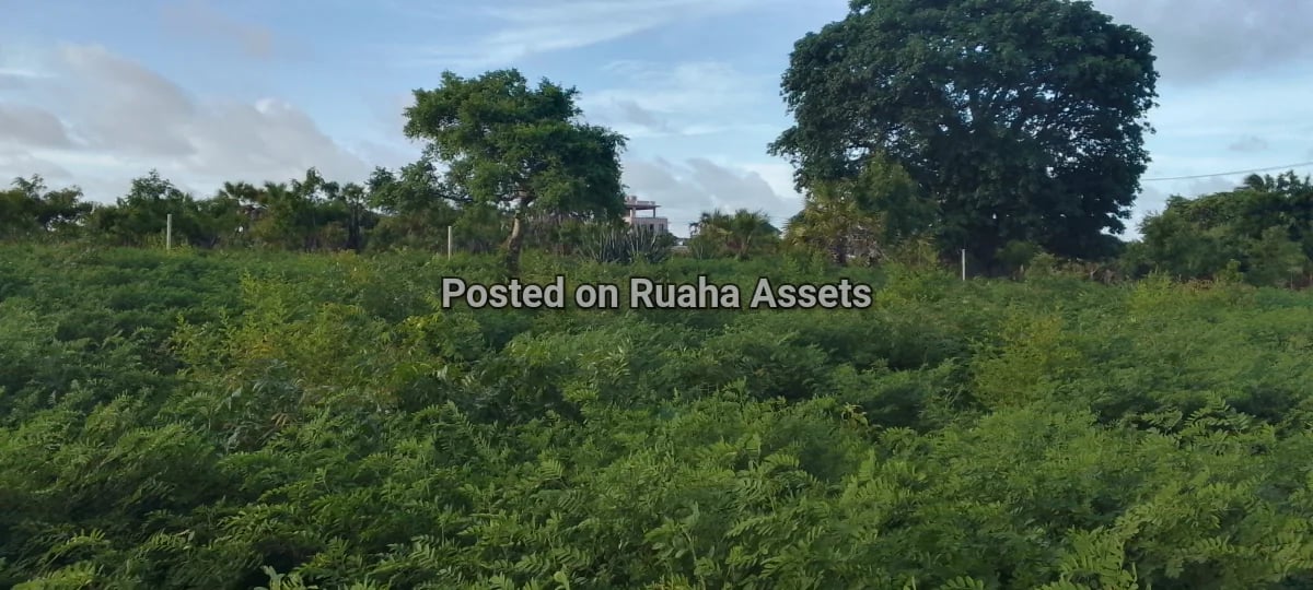 Investment land near beach mbutu kigamboni image 2