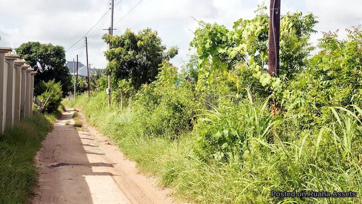 Prime Plots in Mbweni Malindi image 5