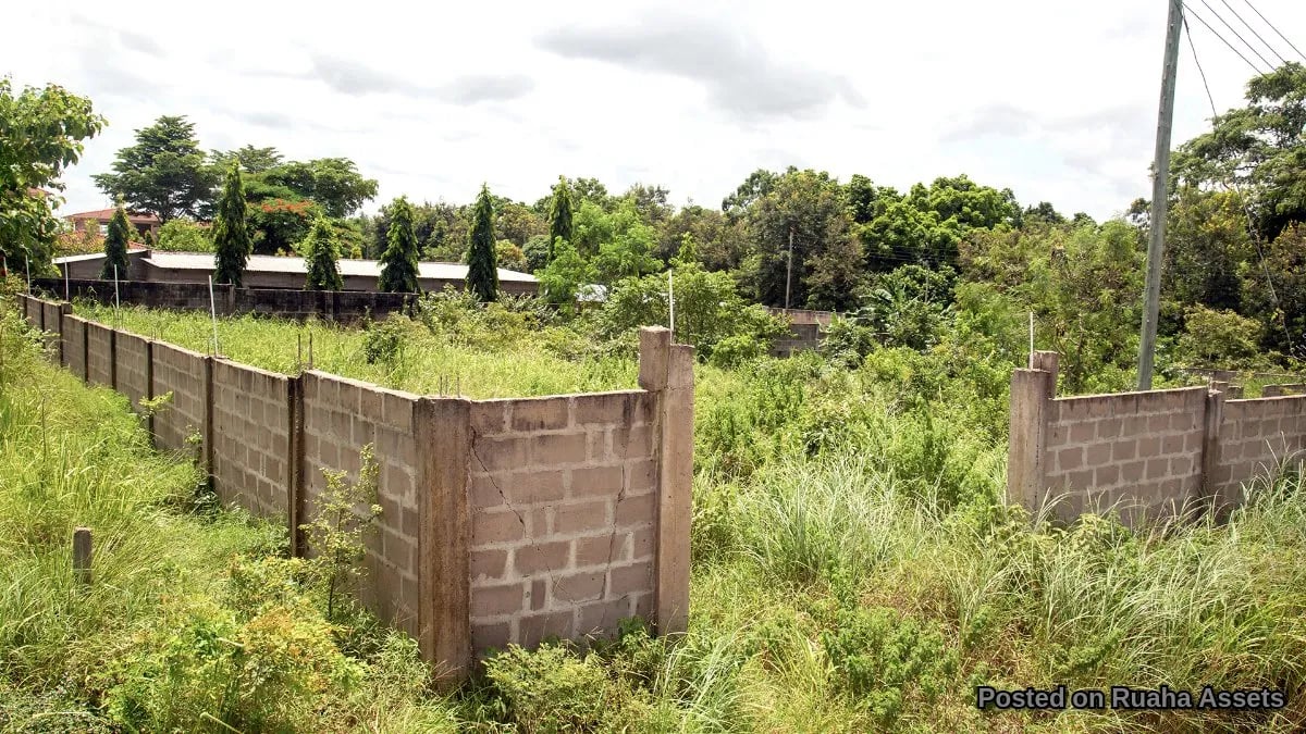 Fenced Plot for Sale at Mabwepande image 2