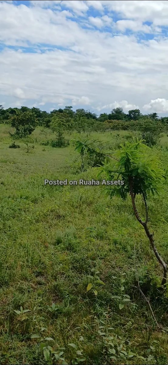 Prime Industrial Plot for Sale at Chamakweza image 3