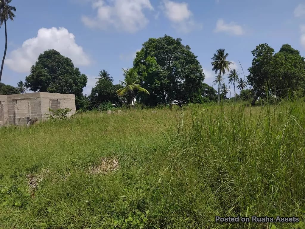 1 acre for sale, Mataya - Bagamoyo image 4
