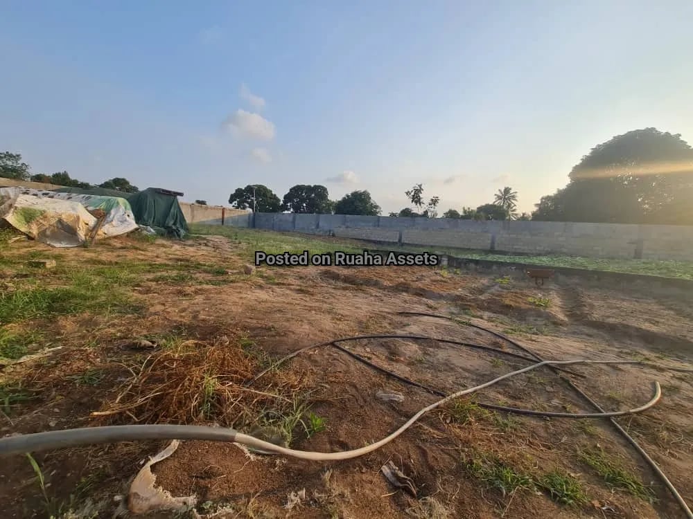 Eneo la Kiwanda Linauzwa Kibaha image 7