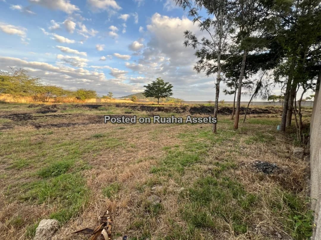 PRIME 3-ACRE INVESTMENT PROPERTY FOR SALE – KISONGO, ARUSHA image 3