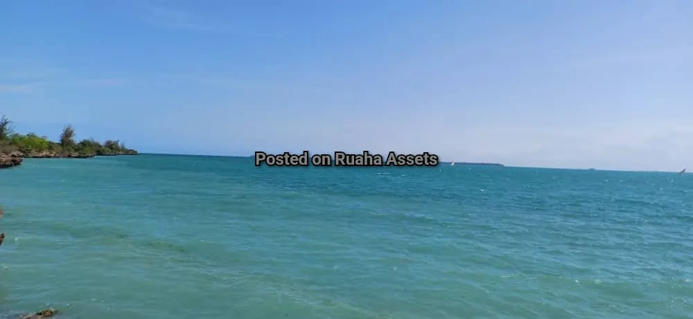 14 acres Beach Plot for Sale in Zanzibar image 2