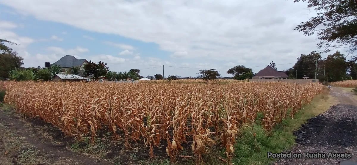 Half acre plot for sale at Njiro, Arusha. image 4