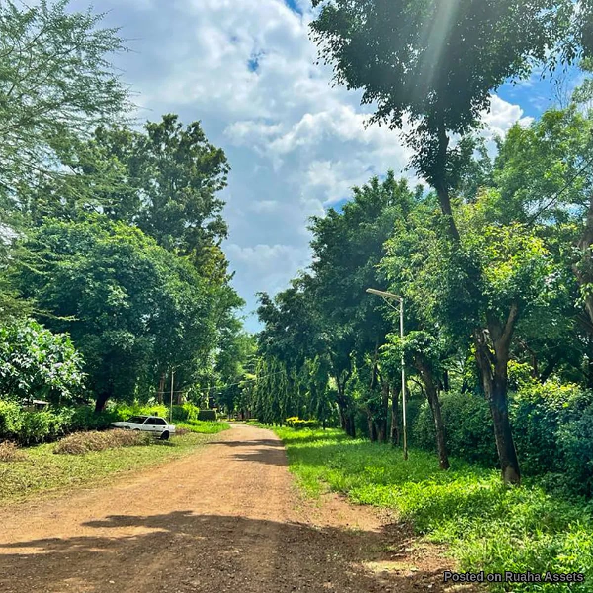 PRIME SHANTY TOWN FARM LAND FOR SALE image 3