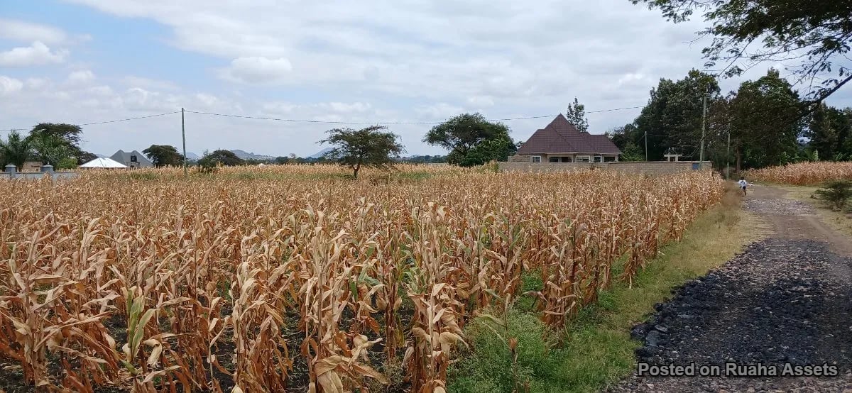 Half acre plot for sale at Njiro, Arusha. image 6
