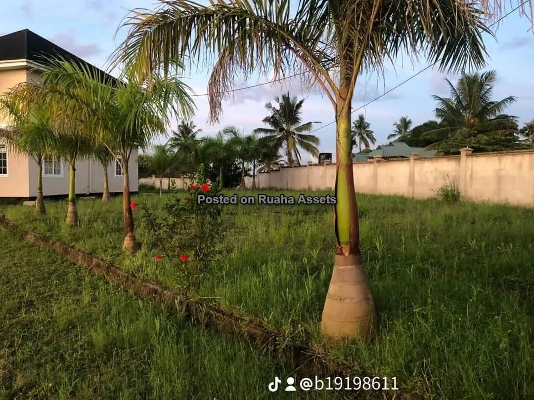 Nyumba ya Ghorofa Inauzwa Goba image 3