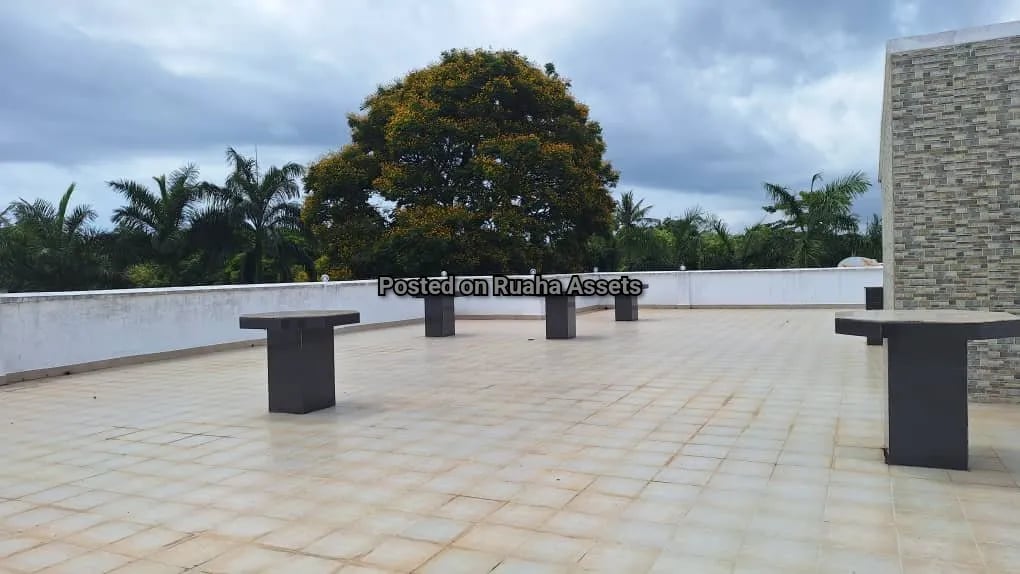 Spacious Luxury Home for Rent in Masaki image 29