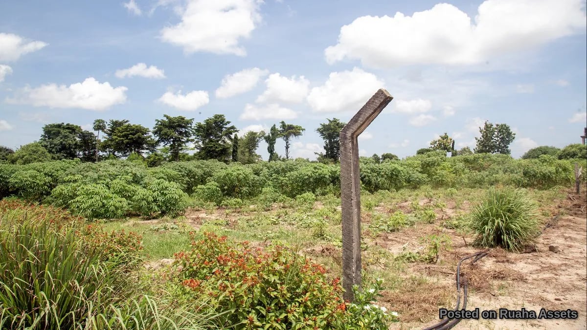 Prime Plot for Sale at Mabwepande image 1