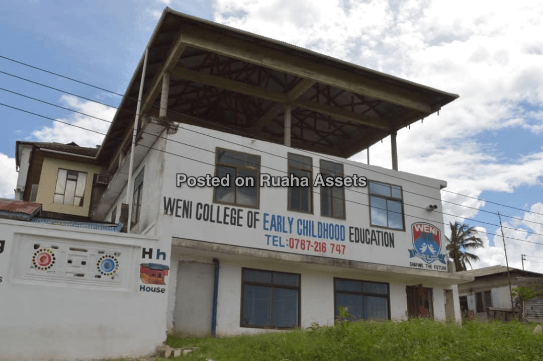 A COMMERCIAL BUILDING FOR SALE IN UBUNGO image 3