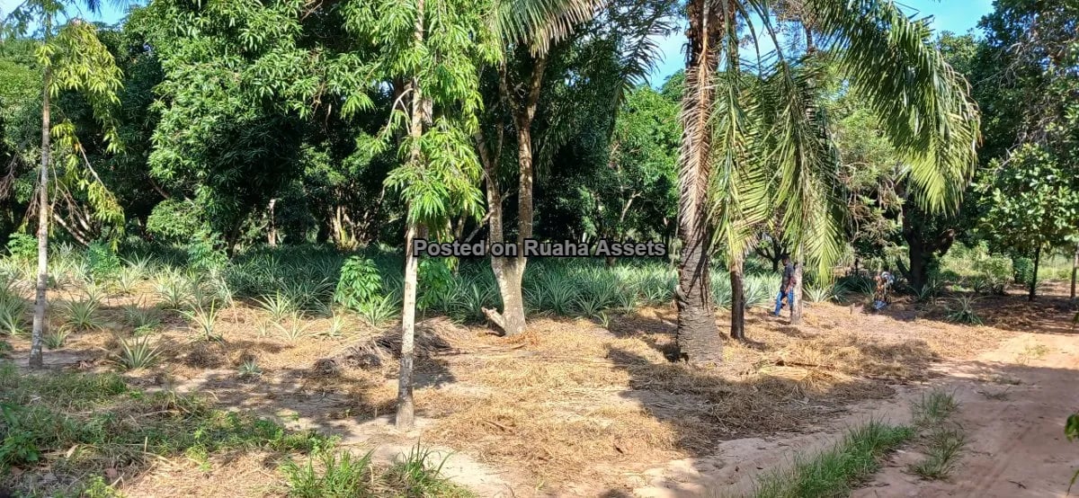 7 Acres of Mixed plots for Sale at Mvuti, Dar es Salaam image 10