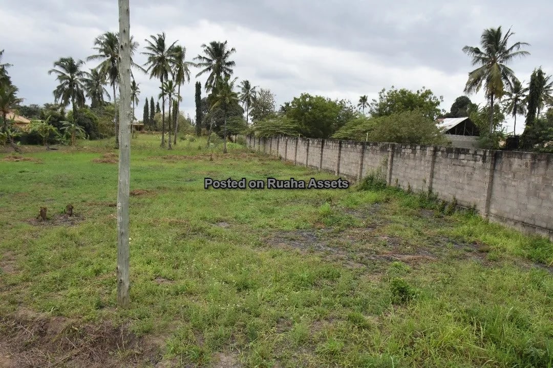 Kiwanja Kikubwa Kinauzwa Mabwepande image 3