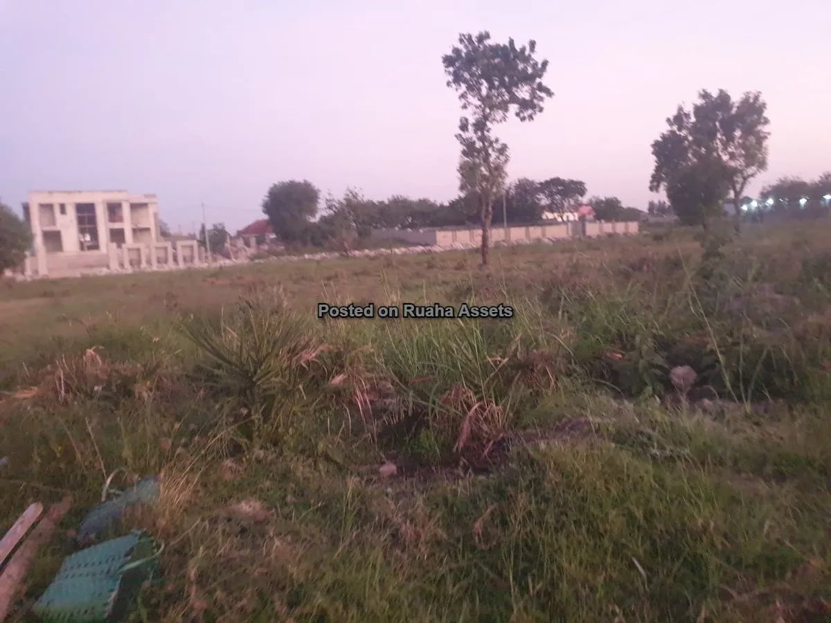 A Very Big Plot for Sale image 6