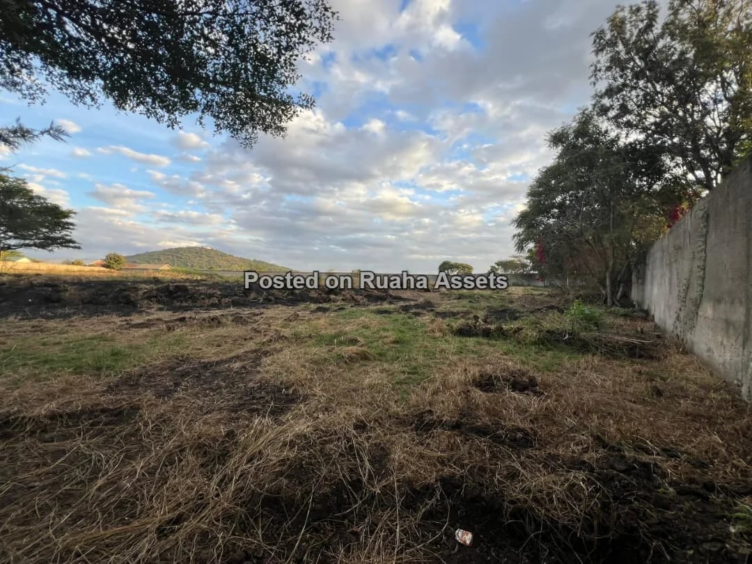 PRIME 3-ACRE INVESTMENT PROPERTY FOR SALE – KISONGO, ARUSHA image 4