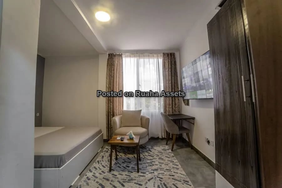 Fully Furnished 1 Bedroom Apartment for Lease at Kinondoni image 2