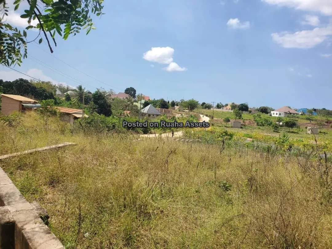 Viwanja Vizuri Vinauzwa Mbopo Madale image 4